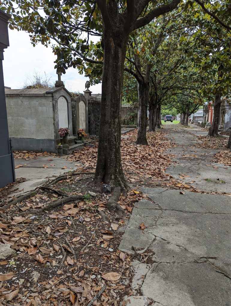 Lafayette Cemetery #1
