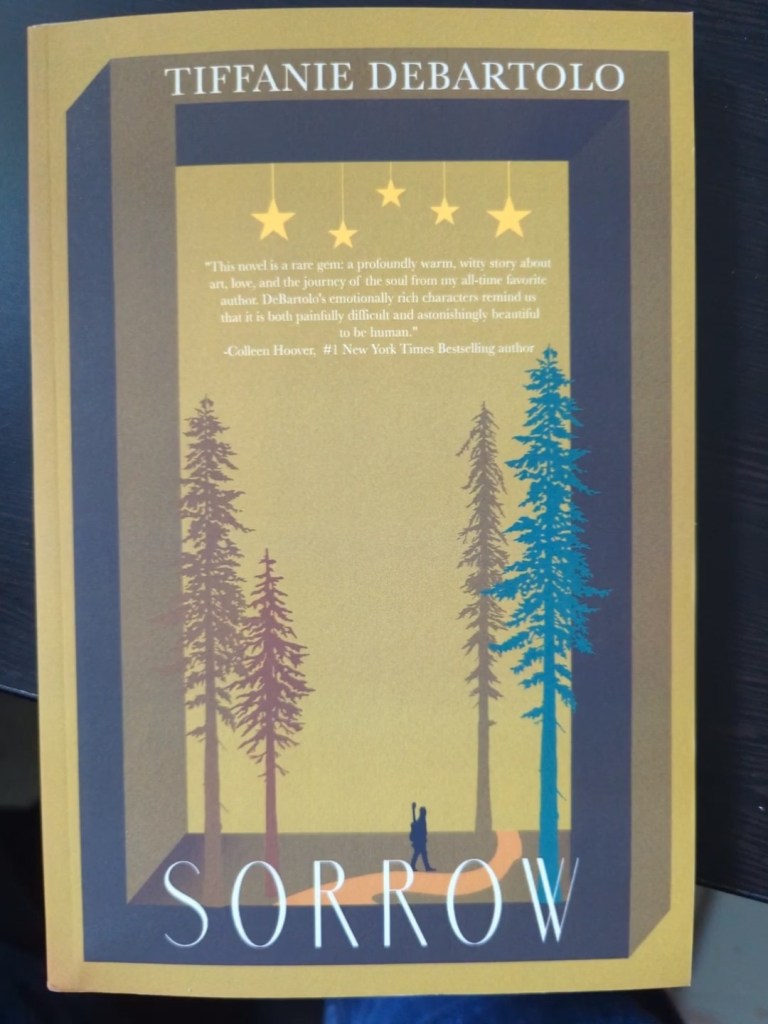 The cover of the novel Sorrow by Tiffanie DeBartolo